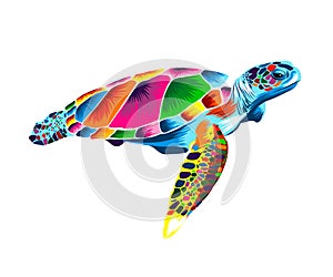 Sea turtle from multicolored paints. Splash of watercolor, colored drawing, realistic