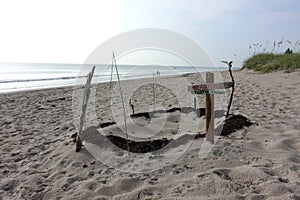 A sea turtle nest on the beach