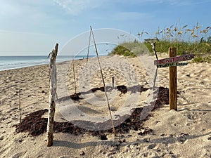 A sea turtle nest on the beach