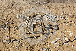 Sea turtle nesting site