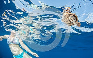 Sea Turtle release at the Bahamas