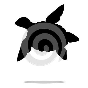 Sea turtle reptile black silhouette animal