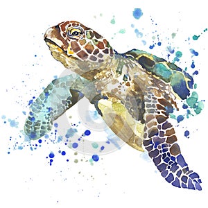 More želva grafika. more želva ilustrace kaluž akvarel strukturovaný. neobvyklý ilustrace akvarel 