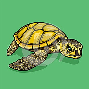 Sea Turtle Turquoise Oceanlife Cartoon Vector Art