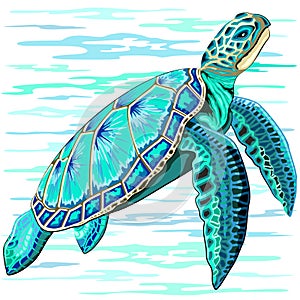 Sea Turtle Turquoise Oceanlife Vector Art