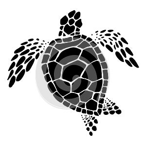 Sea turtle, vector