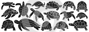 Sea turtle vector black set icon. Vector illustration tortoise on white background. Isolate black set icon sea turtle.
