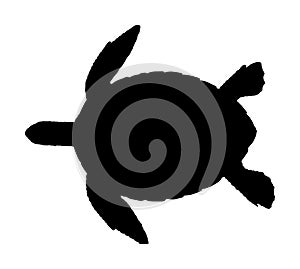 Sea turtle vector silhouette
