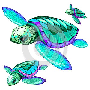 Sea Turtles Dance Oceanlife Vector Illustration