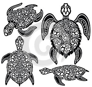 Sea turtles. Sea Animals