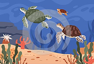 Sea turtles swimming. Vector illustration set