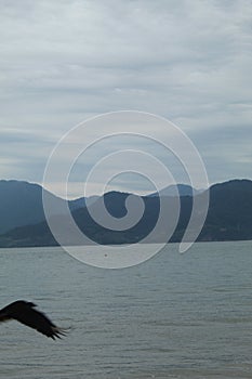 The sea in ubatuba& x27;s beach