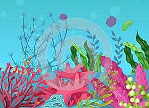 Sea underwater marine background. Marine sea bottom with aqua plants, coral reef underwater seaweed plants, ocean plants, algae,