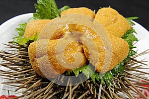 Sea urchin photo