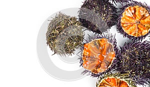 Sea Urchin with caviar close-up, isolated on white background. Fresh sea urchins border, delicatessen food