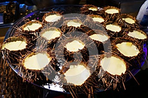 Sea urchin