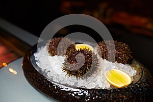 sea urchin and lemon on ice in a bowl