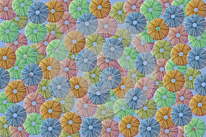 Sea Urchin Pattern