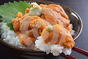 Sea urchin rice bowl