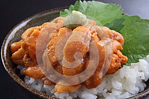 Sea urchin rice bowl photo