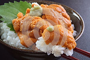 Sea urchin rice bowl photo