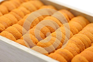 Sea urchin roe, japanese sushi and sashimi ingredients photo