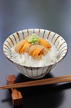 Sea urchin roe on rice, japanese food