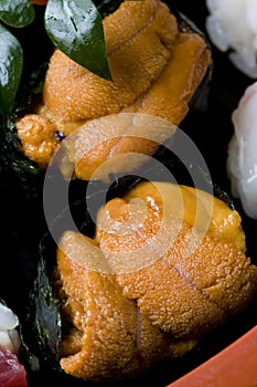 Sea urchin roll