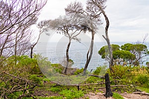 Sea view in Ben Boyd National Park, NSW