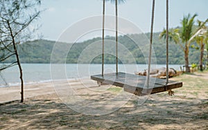 Sea view with lonely wooden swing on sandy beach. And Coconut t