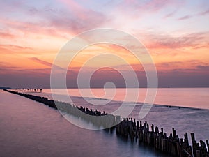 Sea view near mangrove forest with man made wooden barrier for wave protection, under morning twilight colorful sky