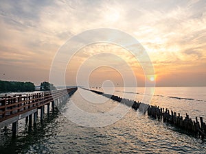 Sea view near mangrove forest with man made wooden barrier for wave protection, under morning twilight colorful sky