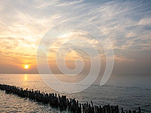 Sea view near mangrove forest with man made wooden barrier for wave protection, under morning twilight colorful sky