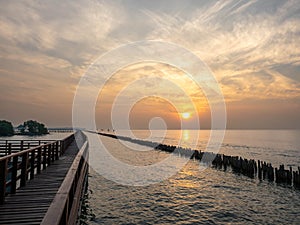 Sea view near mangrove forest with man made wooden barrier for wave protection, under morning twilight colorful sky