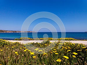 Sea view from old path