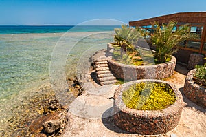 Sea view with sea and palm trees on beach Egypt