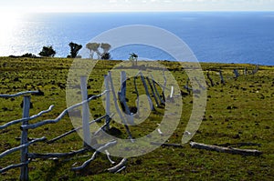 Sea view from the slopes of volcano Terevaka, Rapa Nui Easter Island