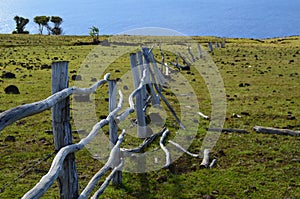 Sea view from the slopes of volcano Terevaka, Rapa Nui Easter Island