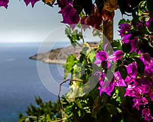 Sea view Summer in Iraklia Cyclades Grecce