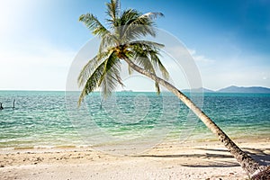 Sea view at tropical beach