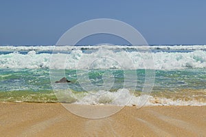 Sea view from tropical beach with sunny sky in Bali