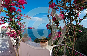 Sea view from the veranda overgrown with bougainvillea