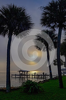 Sea view very early in the morning, when the sun rises, seen through the palm trees.