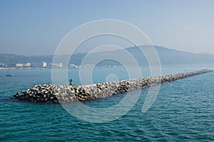 Sea wall formed by concrete tetrapods