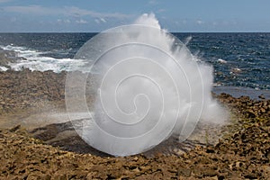 Sea water erupting from the blow hole