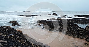 Sea water flowing on rocky shore on beach in winter, rocks covered in mussels