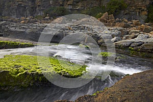 Sea water flows over rocks mosses