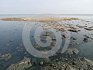 Sea water recedes photo