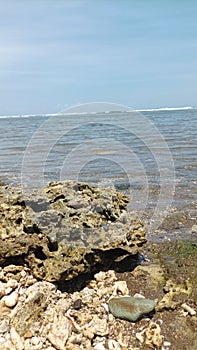 when the sea water recedes we can see the rocks photo