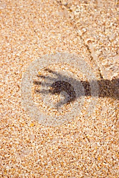 Sea water shadow from man`s hand on sand background texture